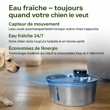LokiFlow 2.0 - Fontaine Pour Chiens