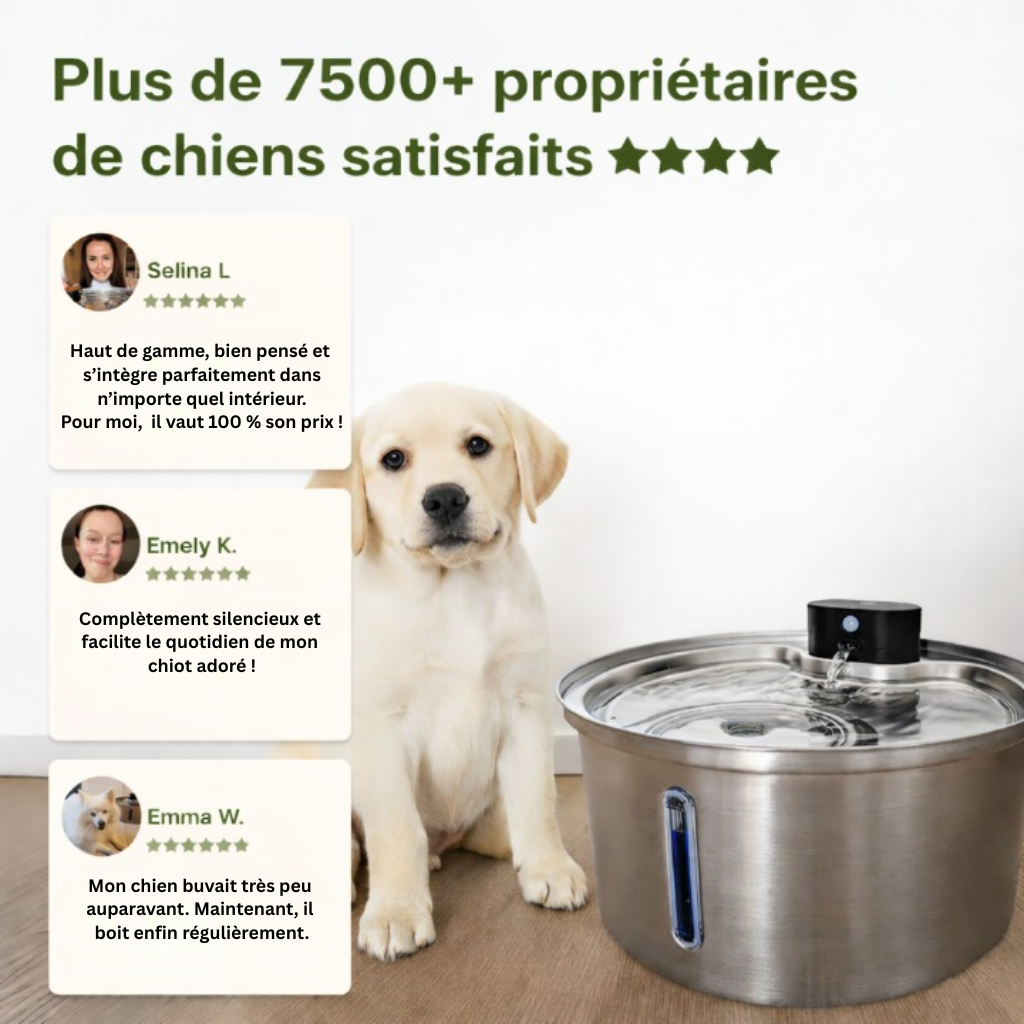 LokiFlow 2.0 - Fontaine Pour Chiens