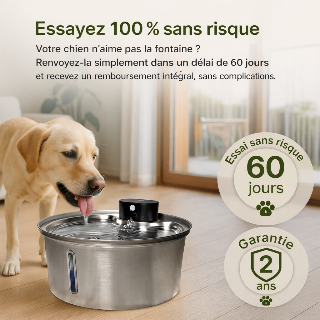 LokiFlow 2.0 - Fontaine Pour Chiens