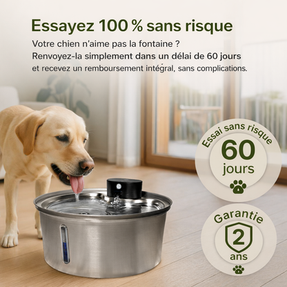 LokiFlow 2.0 - Fontaine Pour Chiens