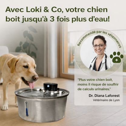 LokiFlow 2.0 - Fontaine Pour Chiens