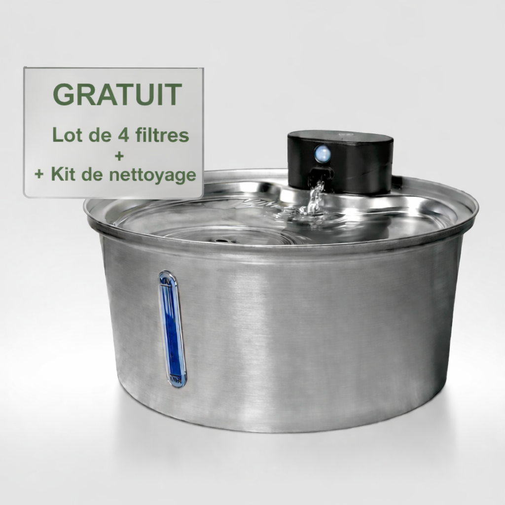 LokiFlow 2.0 - Fontaine Pour Chiens